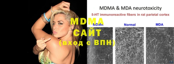 молекула духа Алексин