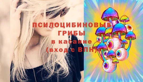 скорость Сосновка