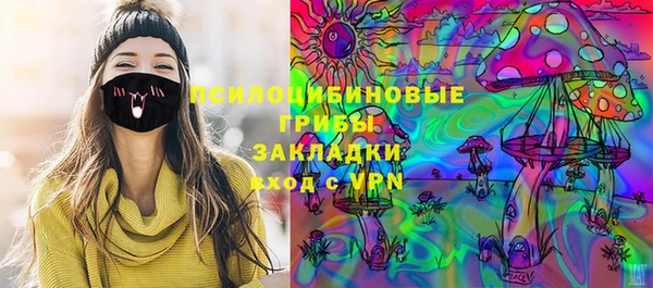 молекула духа Алексин