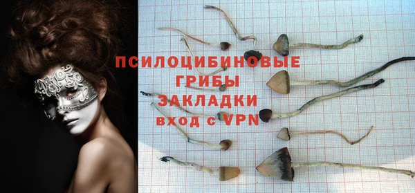 тгк Алексеевка