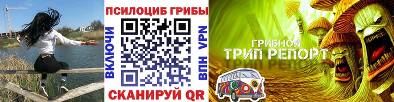 где найти   Гаджиево  ссылка на мегу ССЫЛКА  Галлюциногенные грибы ЛСД 